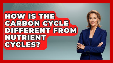How Is The Carbon Cycle Different From Nutrient Cycles? - Explaining Ecology