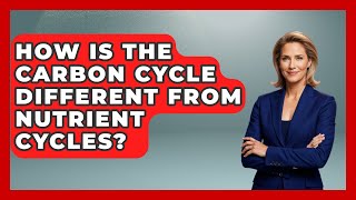 How Is The Carbon Cycle Different From Nutrient Cycles? - Explaining Ecology