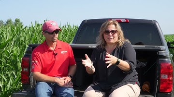 Bumper Crops: Tar Spot on Corn