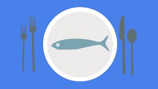 CGT 104 Animated Infographic: Plastic in the Ocean