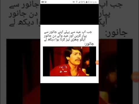Funny eid