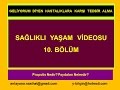 Propolis Nedir? Faydaları Nelerdir? Sağlıklı Yaşam Videosu 10