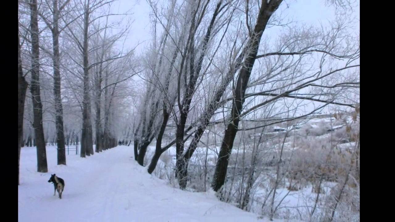 Курган Зима Фото