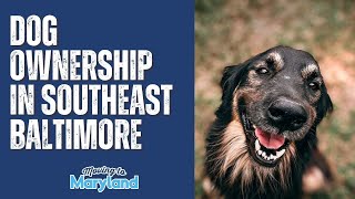 DOG OWNERSHIP in Southeast Baltimore | Happy Pups in the Canton, Fells Point, Brewers Hill Area