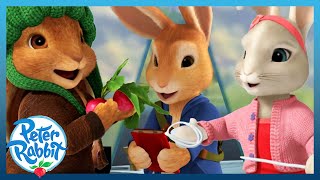 ​@OfficialPeterRabbit- Final 3 Minutes 🌟🐰 | Missing Journal | Throwback Thursday | Cartoons for Kids by Peter Rabbit 30,183 views 2 months ago 3 minutes, 16 seconds