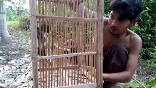 Primitive Technology - Make bird cages from sago palm fronds