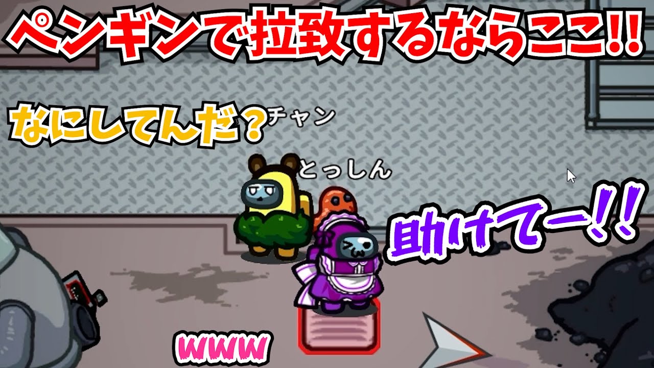 【近アモ】コミュサボ中にペンギンで拉致してみたｗ