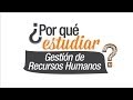 ¿Por qué estudiar Recursos Humanos?