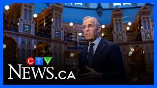 'The friction between our two countries cannot be understated': Fraser on U.S.-Canada relations
