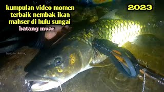 KUMPULAN video terbaik menembak ikan Mahseer di hulu sungai batang muar 2023