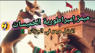 ميمز إمبراطورية الخميسات memes dz 2024 🇩🇿🇲🇦🤣♥