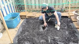 How I Set-up MY Outdoor Garden #420 #organic #organicfarming