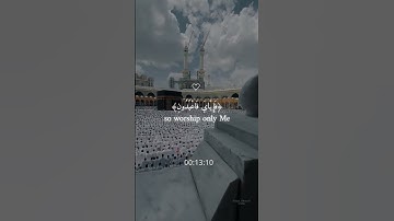 عبد الرحمن مسعد (كل نفس ذآئقة الموت)سورة العنكبوت راحة نفسية والطمأنينة #المصحف #راحة_نفسية #لايك