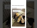 #cuddlebuddy #cuddleplush #cozy