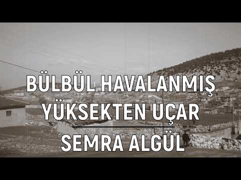 Bülbül Havalanmış Yüksekten Uçar - Semra Algül