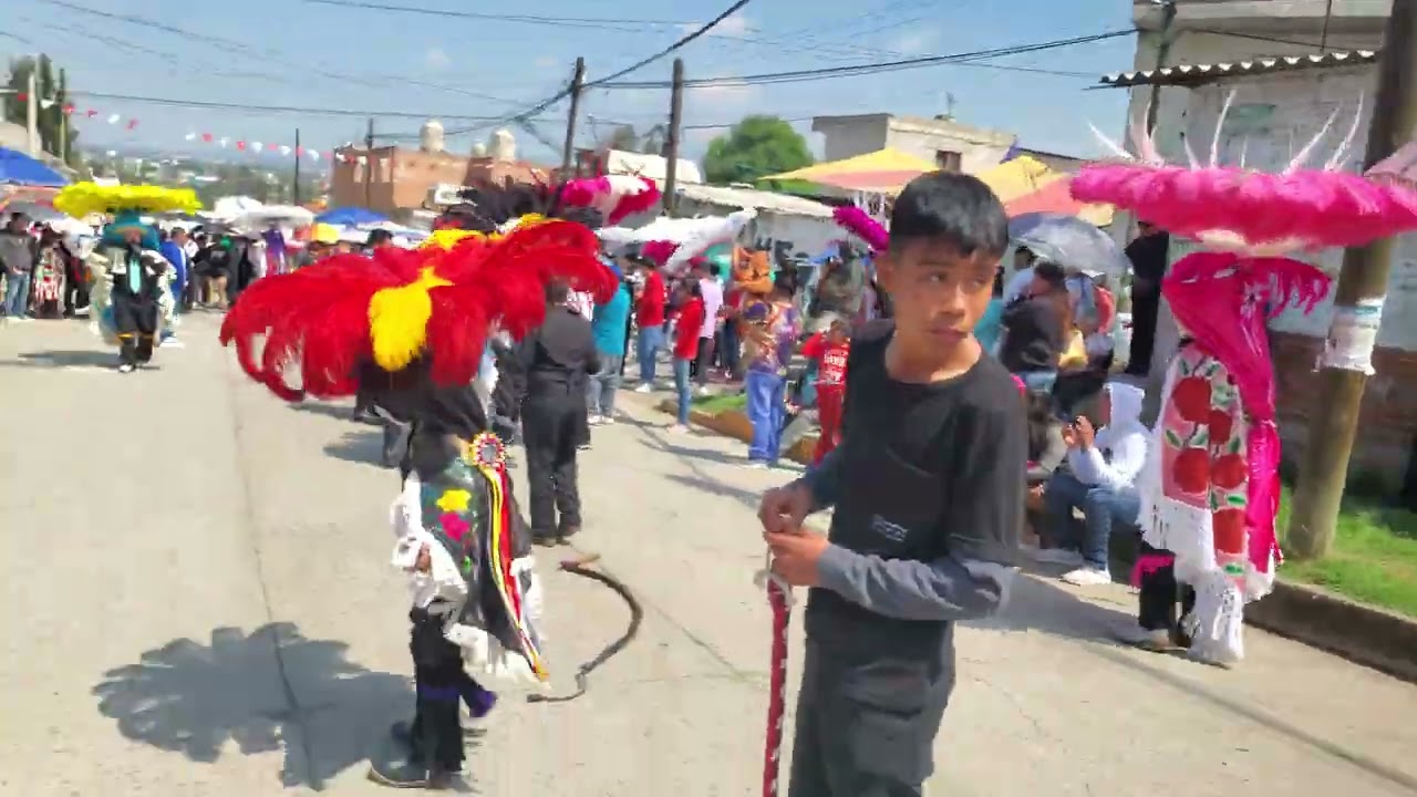 Carnaval de San Lorenzo Almecatla 2024