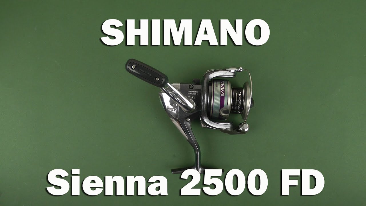 Демонстрация Shimano Sienna 2500 FD