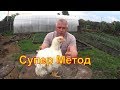 Наша технология выращивания бройлера Секретов нет Our broiler growing technology There are