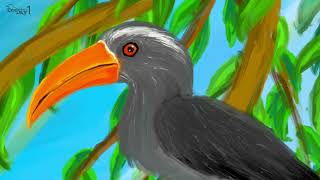 Malabar Gray Hornbill 말라바르회색코뿔새 그리기