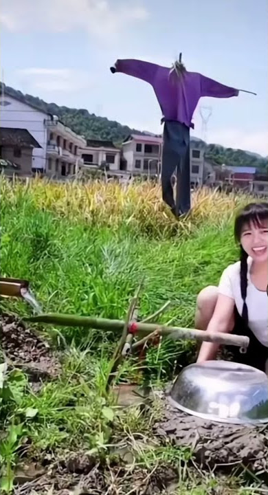 ide kreatif mengusir hama burung di persawahan | video viral cara mengusir hama di sawah
