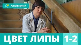 ХИТ! Криминальный Детектив! Цвет Липы. 1-2 СЕРИИ. Русские сериалы