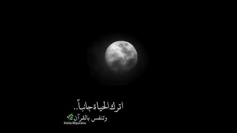 ولا تمدن عينيك إلى ما متعنا به ازواجاً القارئ اسلام صبحي