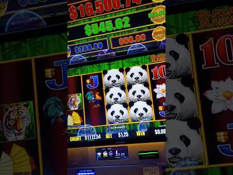 Spin Panda Casino Online: Geniet van Online Casino Spelen in het Nederlands