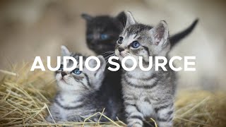 Wataboi - Jungle Juice [Copyright Free Vlog Music] @AudioSourceMusic