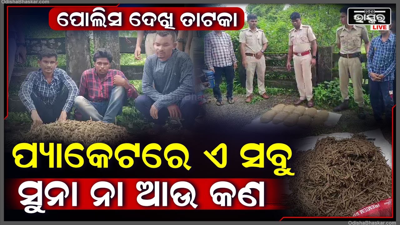 ଗଞ୍ଜେଇ ଚୋରା ଚାଲାଣ ବେଳେ ୧୦ କେଜି ଗଞ୍ଜେଇ ଜବତ କରିବା ସହ ଦୁଇ ବାଇକ ସହିତ ତିନି ଗିରଫ