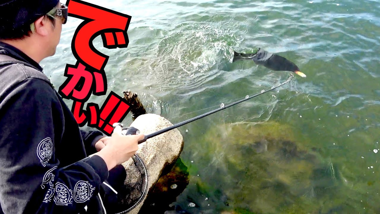 バス釣り】目の前に巨大魚が現れたのでビッグベイト投げてみたら