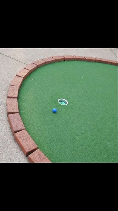 the-greatest-mini-golf-putt-of-the-century-shorts-minigolf-golf