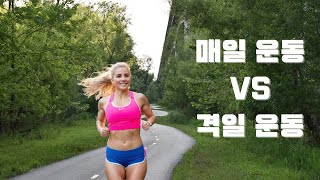 매일 운동하는 것이 좋을까? 격일로 운동하는 것이 좋을까?