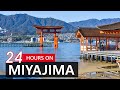 Miyajima island itinerary  24 hour overnight adventure  hiroshima trip to itsukushima  