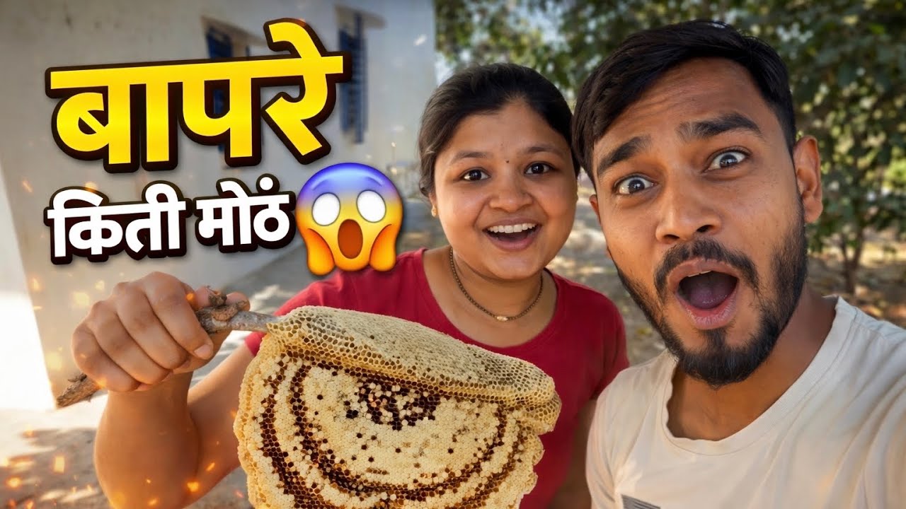 इतकं मोठं मोहाळ काढलं 😱 | Honeycomb Removal in Village