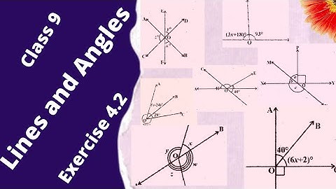 Lines and Angles Exercise 4.2 class 9 with notes / Lines and Angles / Exercise 4.2 class 9