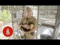 El zoológico manejado por presos en Florida