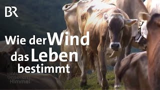 Wetter in Südtirol: Sommerwinde auf der Alm, am See und auf dem Feld | Unter unserem Himmel | BR