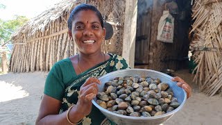 மதினி செய்த கடல் சிப்பி தொக்கு | Sea oyster collection made by Madhini