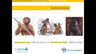 Homo Erectus y Homo Sapiens