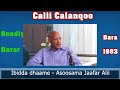 Ibidda Dhaame Asoosama Jaafar Alii Seenaa Calanqoo Hanga Dargiitti Ibidda Dhaame Asoosama Jaafar Alii Seenaa Calanqoo Hanga Dargiitti