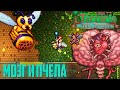 Terraria 1.4 Мастер Призыватель - Мозг Ктулху и Королева Пчёл