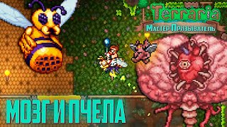 Terraria 1.4 Мастер Призыватель - Мозг Ктулху и Королева Пчёл