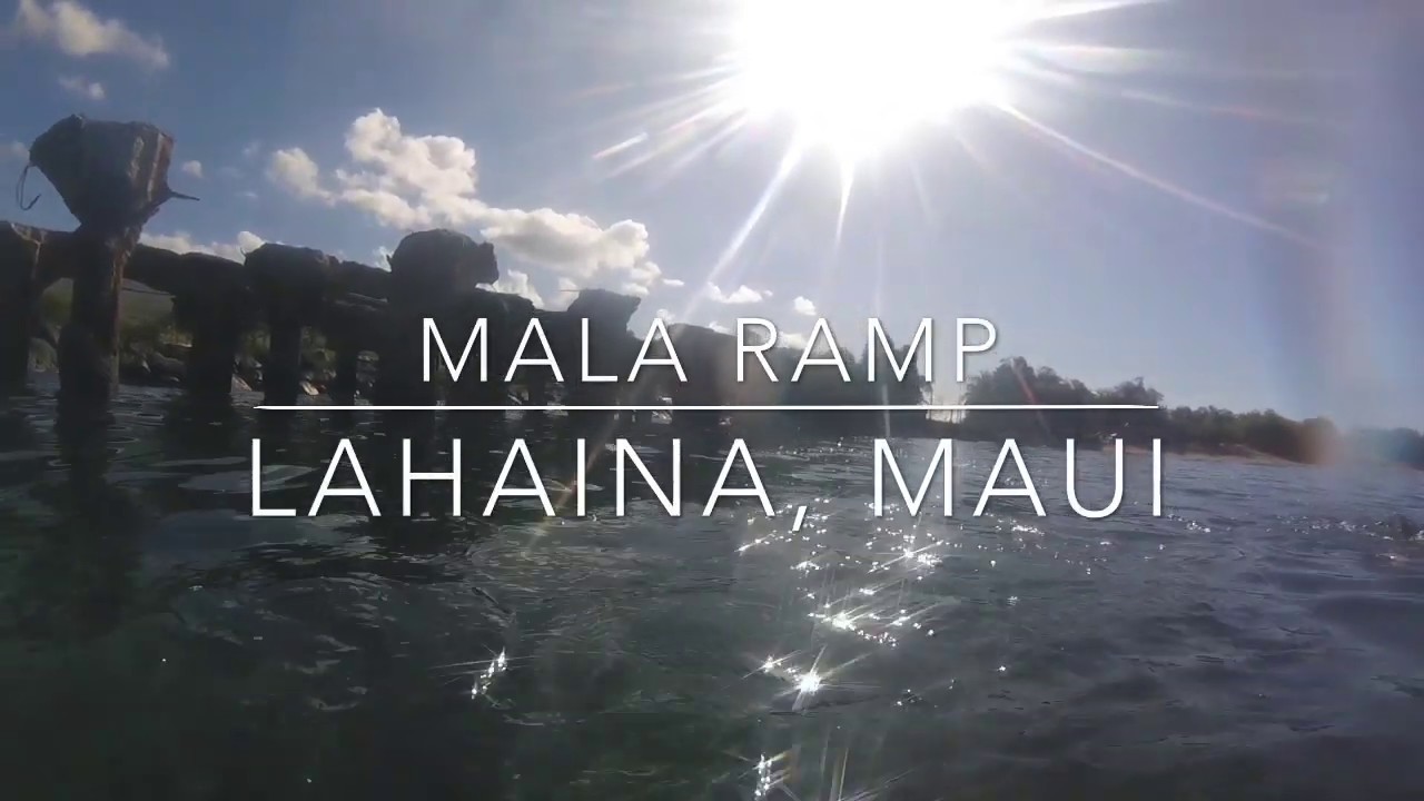 マウイ島 ダイビング マラ ランプ Youtube