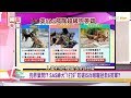 英國特種部隊軍犬1打9!! 咬死IS兵冒死神救援!? 國民大會 20180801 (完整版)