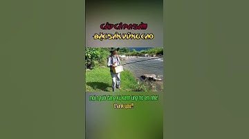 Câu Cá Mương Suối | Câu Cá Pa Sảm | Câu Cá Giải Trí Và Ẩm Thực #shorts