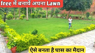 how to grow grass in Lawn || अपना Lawn खुद बनायें screenshot 2