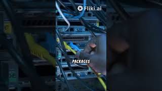 Networking basics