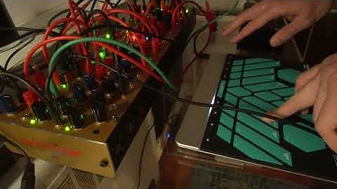 Sensei Morph + Endorphine.es Shuttle System