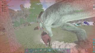 Rhinos OP!