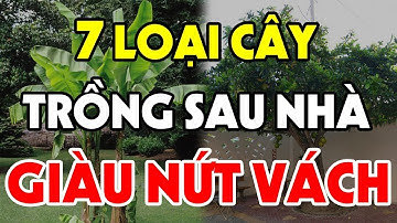 Lén TRỒNG 5 CÂY NÀY SAU NHÀ Tiền Bạc Kéo Vào Ầm Ầm Đếm Không Xuể, Giàu Sang 3 Đời